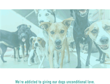 Tablet Screenshot of dogaholics.com